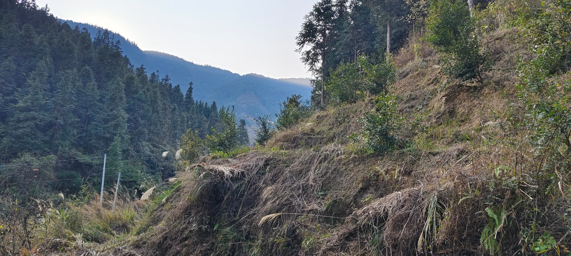 请输入图片描述