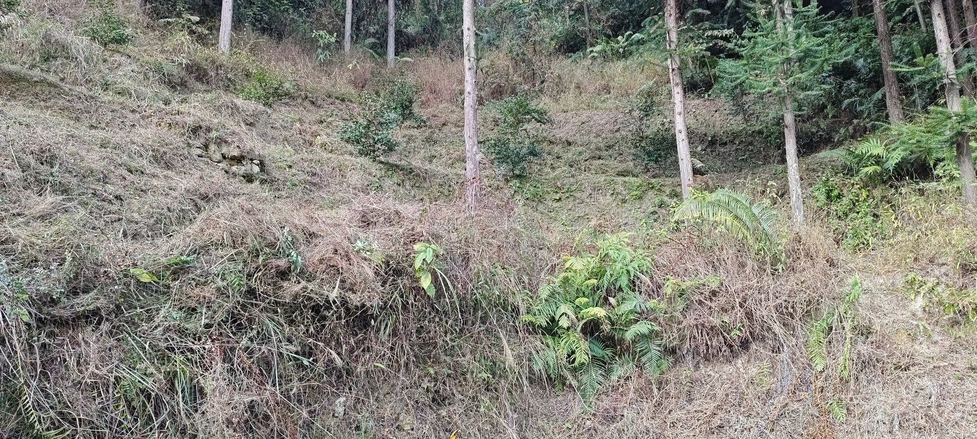 请输入图片描述