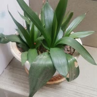 建安汇用户头像
