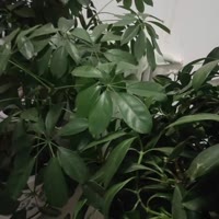建安汇用户头像