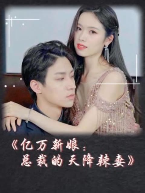亿万新娘总裁的天降辣妻 （108集）
